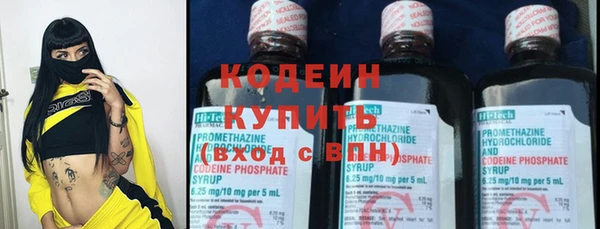 индика Краснослободск