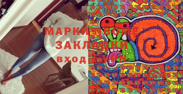 индика Краснослободск