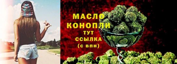 индика Краснослободск