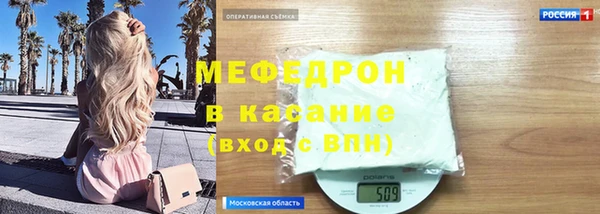 индика Краснослободск