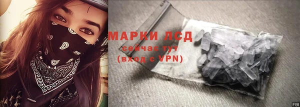 индика Краснослободск